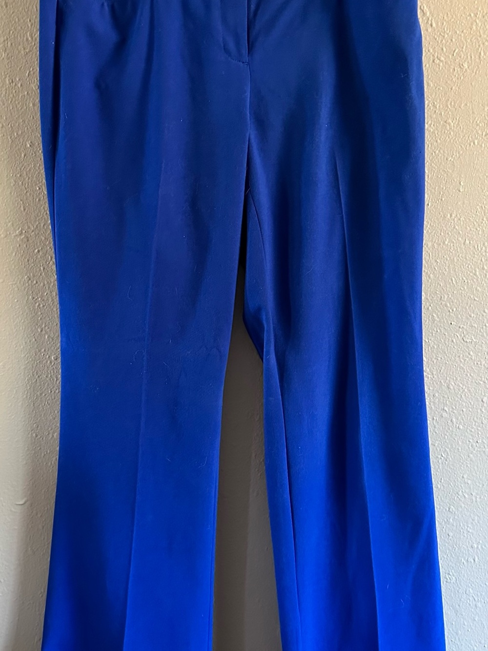 New York & Company Cobalt Blue Boot Cut Dress Pants Size 6